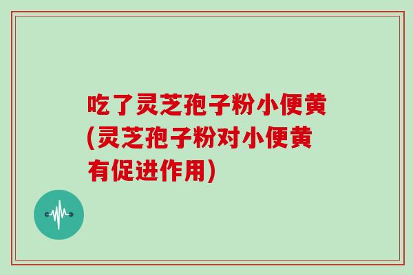 吃了灵芝孢子粉小便黄(灵芝孢子粉对小便黄有促进作用)