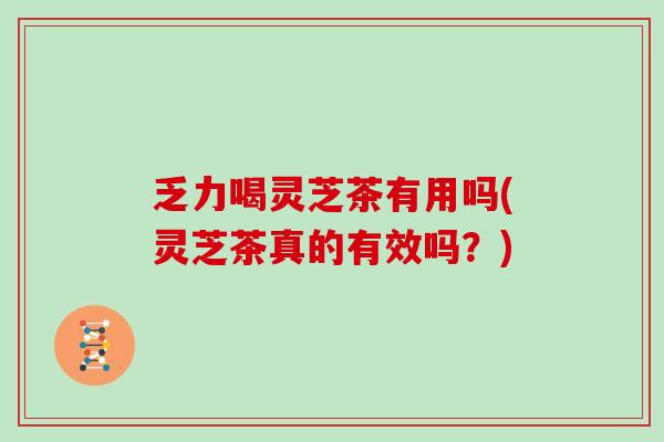 乏力喝灵芝茶有用吗(灵芝茶真的有效吗?)