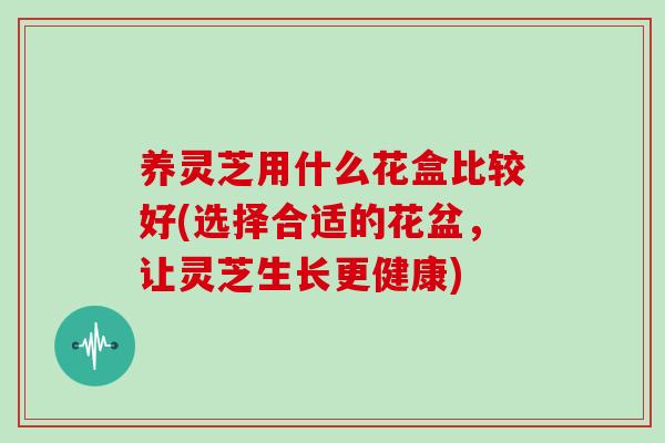 养灵芝用什么花盒比较好(选择合适的花盆,让灵芝生长更健康)