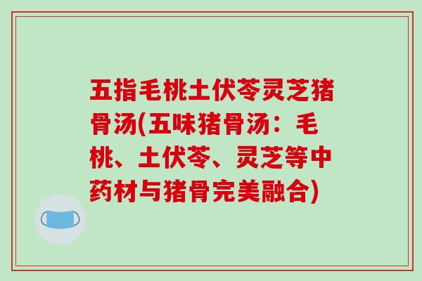 五指毛桃土伏苓灵芝猪骨汤(五味猪骨汤:毛桃、土伏苓、灵芝等中药材与猪骨完美融合)