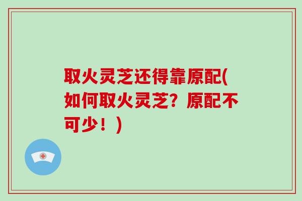 取火灵芝还得靠原配(如何取火灵芝？原配不可少！)