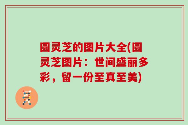圆灵芝的图片大全(圆灵芝图片：世间盛丽多彩，留一份至真至美)