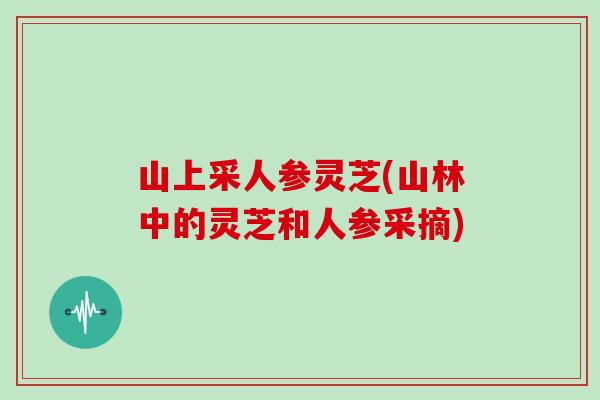 山上采人参灵芝(山林中的灵芝和人参采摘)