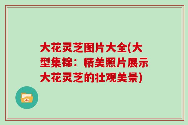 大花灵芝图片大全(大型集锦:精美照片展示大花灵芝的壮观美景)