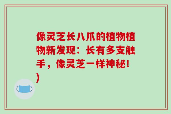 像灵芝长八爪的植物植物新发现:长有多支触手,像灵芝一样神秘!)