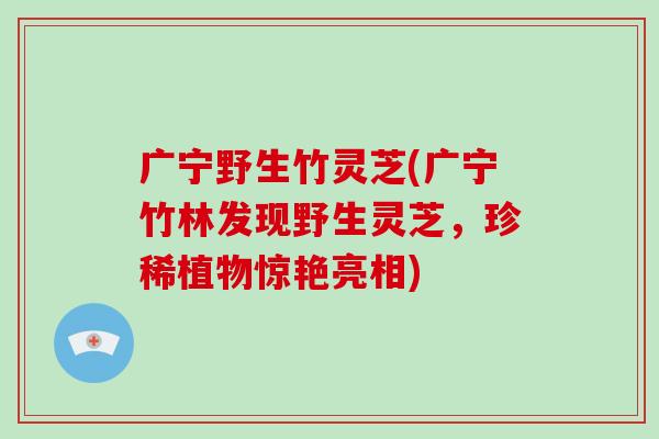 广宁野生竹灵芝(广宁竹林发现野生灵芝,珍稀植物惊艳亮相)