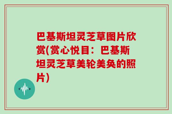 巴基斯坦灵芝草图片欣赏(赏心悦目:巴基斯坦灵芝草美轮美奂的照片)