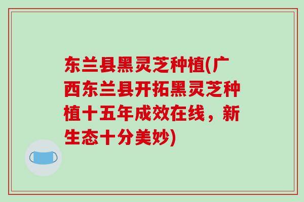 东兰县黑灵芝种植(广西东兰县开拓黑灵芝种植十五年成效在线,新生态十分美妙)