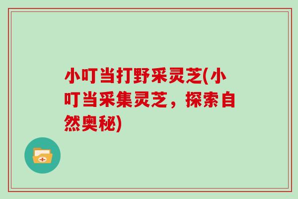 小叮当打野采灵芝(小叮当采集灵芝,探索自然奥秘)