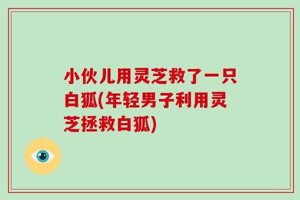 小伙儿用灵芝救了一只白狐(年轻男子利用灵芝拯救白狐)