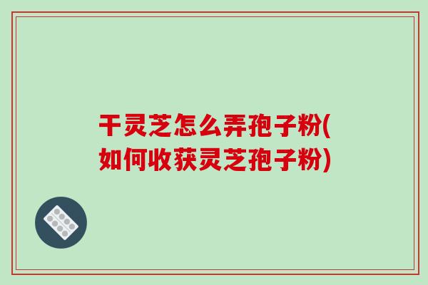 干灵芝怎么弄孢子粉(如何收获灵芝孢子粉)