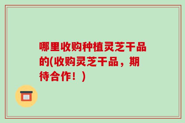 哪里收购种植灵芝干品的(收购灵芝干品,期待合作!)