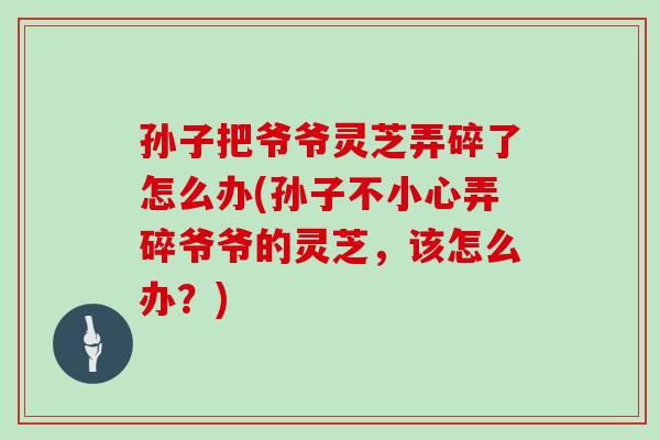孙子把爷爷灵芝弄碎了怎么办(孙子不小心弄碎爷爷的灵芝，该怎么办？)