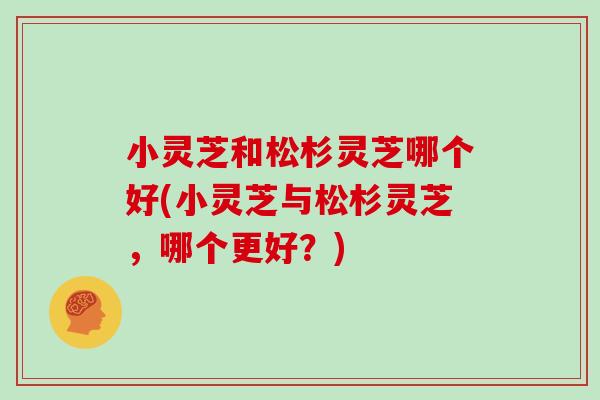 小灵芝和松杉灵芝哪个好(小灵芝与松杉灵芝，哪个更好？)