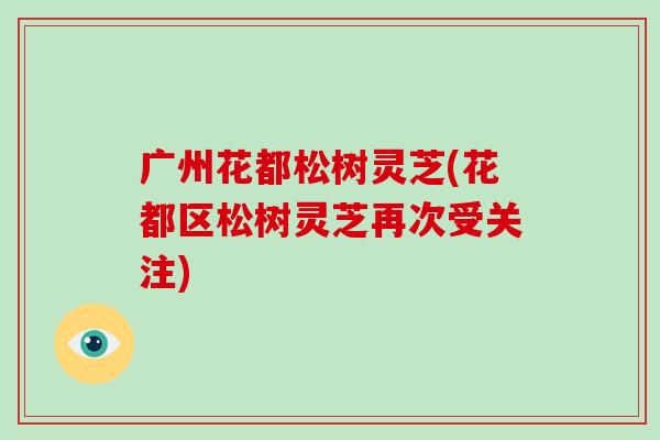 广州花都松树灵芝(花都区松树灵芝再次受关注)
