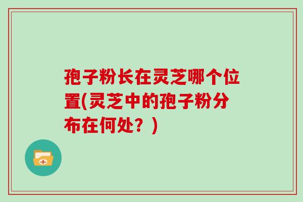 孢子粉长在灵芝哪个位置(灵芝中的孢子粉分布在何处?)
