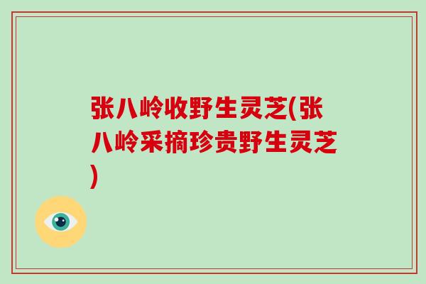张八岭收野生灵芝(张八岭采摘珍贵野生灵芝)