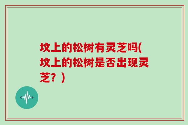 坟上的松树有灵芝吗(坟上的松树是否出现灵芝？)