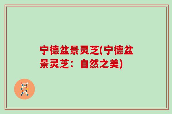宁德盆景灵芝(宁德盆景灵芝:自然之美)