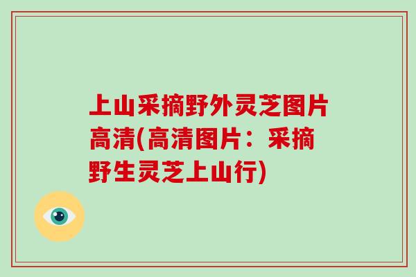 上山采摘野外灵芝图片高清(高清图片:采摘野生灵芝上山行)