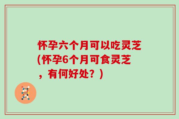 怀孕六个月可以吃灵芝(怀孕6个月可食灵芝，有何好处？)