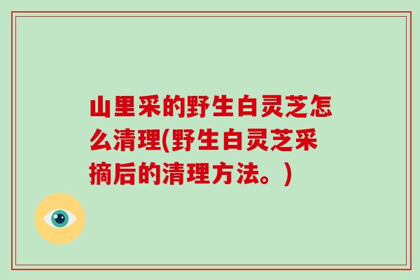 山里采的野生白灵芝怎么清理(野生白灵芝采摘后的清理方法。)