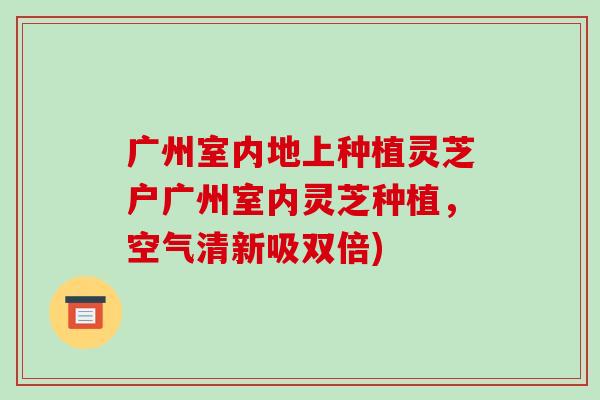 广州室内地上种植灵芝户广州室内灵芝种植,空气清新吸双倍)