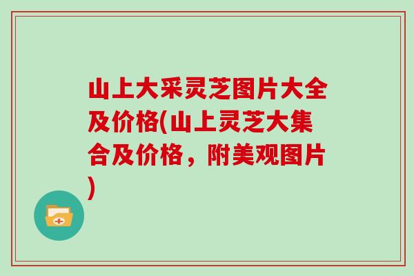 山上大采灵芝图片大全及价格(山上灵芝大集合及价格，附美观图片)