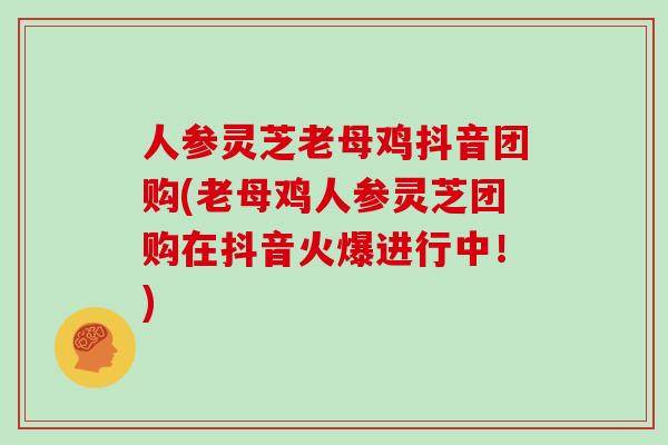 人参灵芝老母鸡抖音团购(老母鸡人参灵芝团购在抖音火爆进行中!)