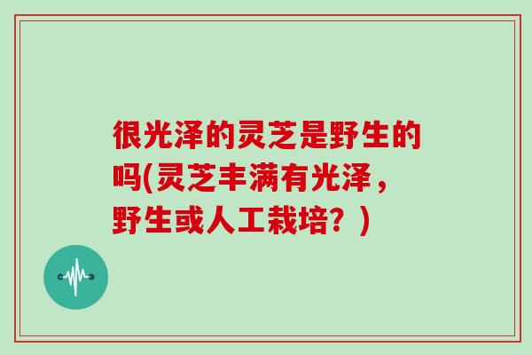 很光泽的灵芝是野生的吗(灵芝丰满有光泽，野生或人工栽培？)
