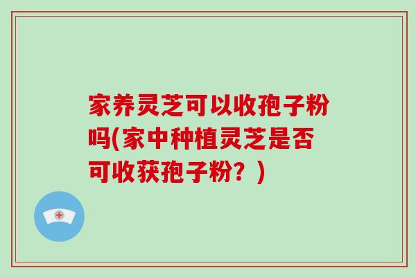 家养灵芝可以收孢子粉吗(家中种植灵芝是否可收获孢子粉？)