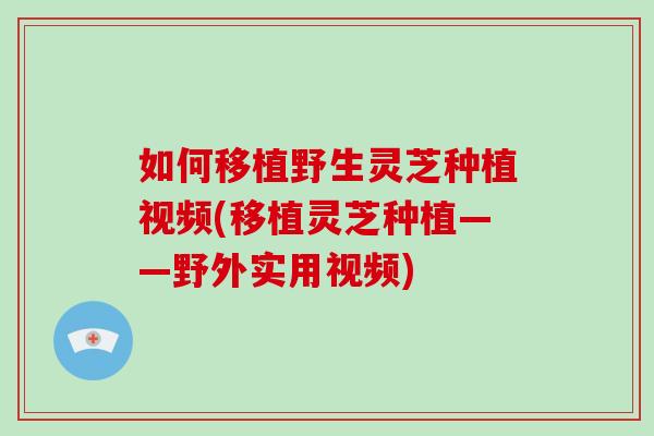 如何移植野生灵芝种植视频(移植灵芝种植——野外实用视频)
