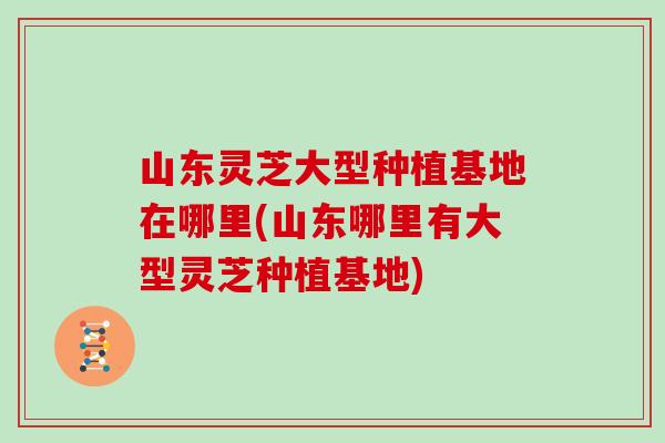山东灵芝大型种植基地在哪里(山东哪里有大型灵芝种植基地)