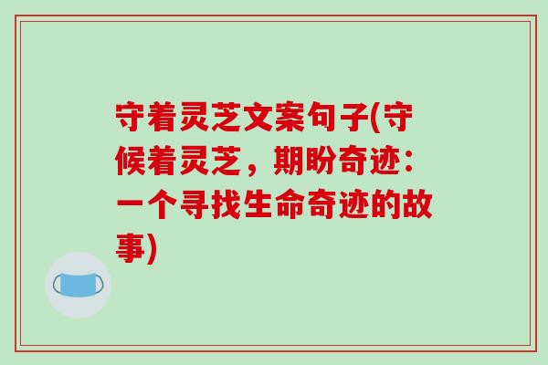 守着灵芝文案句子(守候着灵芝,期盼奇迹:一个寻找生命奇迹的故事)