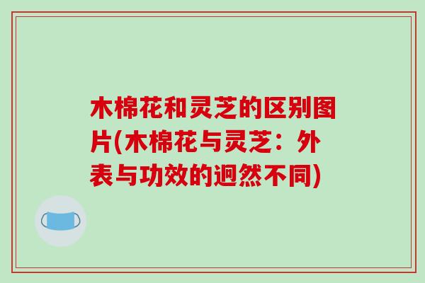 木棉花和灵芝的区别图片(木棉花与灵芝：外表与功效的迥然不同)