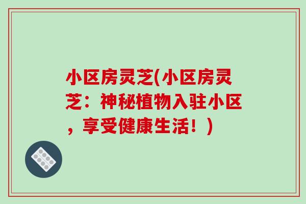 小区房灵芝(小区房灵芝:神秘植物入驻小区,享受健康生活!)