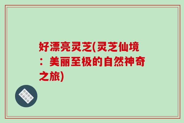 好漂亮灵芝(灵芝仙境：美丽至极的自然神奇之旅)