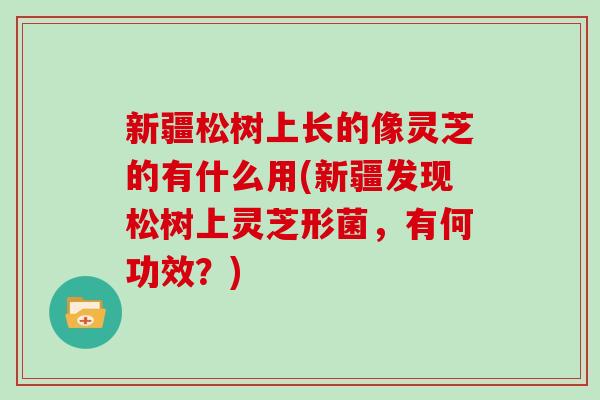 新疆松树上长的像灵芝的有什么用(新疆发现松树上灵芝形菌，有何功效？)