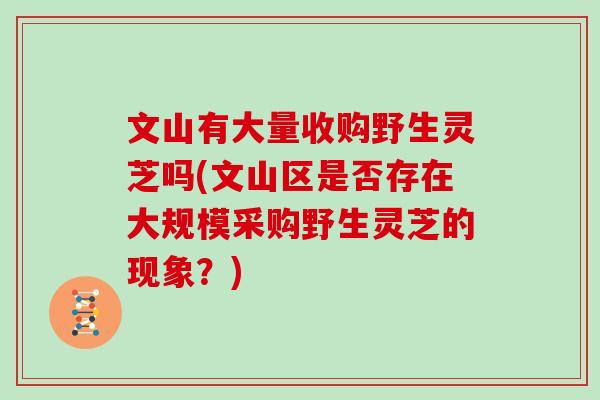 文山有大量收购野生灵芝吗(文山区是否存在大规模采购野生灵芝的现象?)