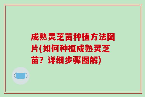 成熟灵芝苗种植方法图片(如何种植成熟灵芝苗?详细步骤图解)