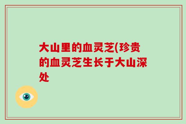 大山里的血灵芝(珍贵的血灵芝生长于大山深处