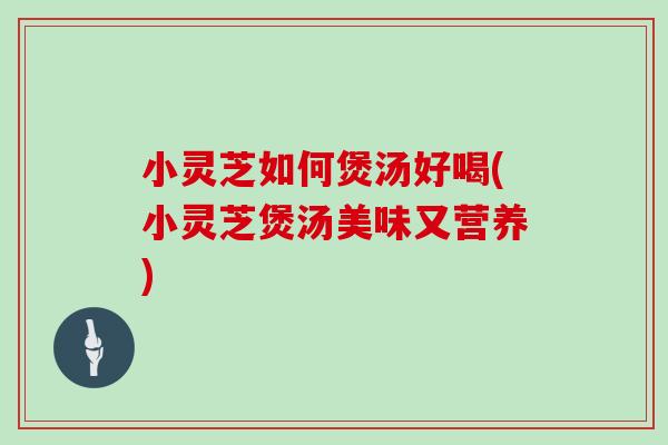 小灵芝如何煲汤好喝(小灵芝煲汤美味又营养)