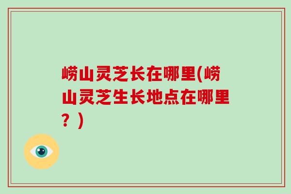 崂山灵芝长在哪里(崂山灵芝生长地点在哪里?)