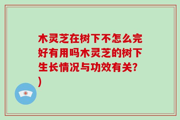 木灵芝在树下不怎么完好有用吗木灵芝的树下生长情况与功效有关？)