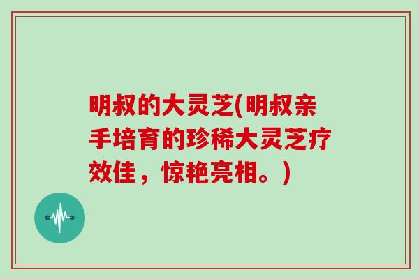 明叔的大灵芝(明叔亲手培育的珍稀大灵芝疗效佳,惊艳亮相。)