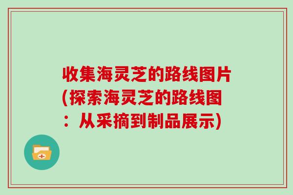 收集海灵芝的路线图片(探索海灵芝的路线图:从采摘到制品展示)