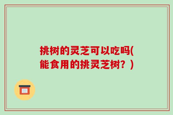 挑树的灵芝可以吃吗(能食用的挑灵芝树?)