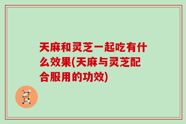 天麻和灵芝一起吃有什么效果(天麻与灵芝配合服用的功效)