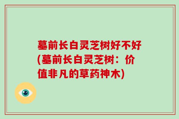 墓前长白灵芝树好不好(墓前长白灵芝树:价值非凡的草药神木)