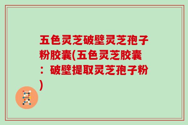五色灵芝破壁灵芝孢子粉胶囊(五色灵芝胶囊:破壁提取灵芝孢子粉)